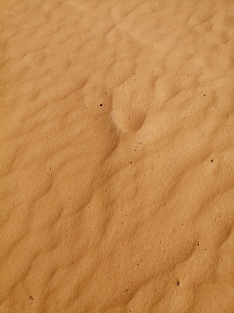 Creating a Safe Sandbox Environment